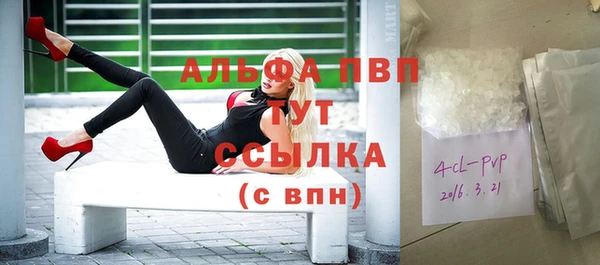 шишки Баксан