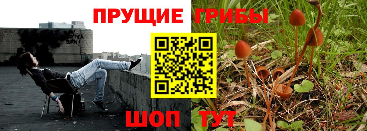 Галлюциногенные грибы прущие грибы Лыткарино
